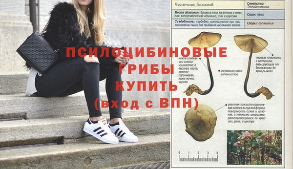 героин Богородск