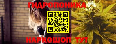 твердый Тверь