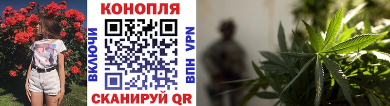 мориарти Telegram цена Сланцы Марихуана ГИДРОПОН